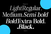 Falèfion – (14 Styles), a Serif Font by Madjack.font (Thumbnail 3 of 11)