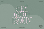 TAN - Variety, a Serif Font by TanType (Thumbnail 14 of 26)