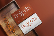 Glovia || Modern Classy Serif Font, a Serif Font by Ermedia Studio (Thumbnail 7 of 10)