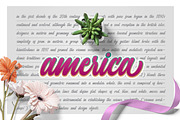 Magliette, a Script Font by Olexstudio (Thumbnail 3 of 6)
