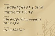 Grache Hustle - Aesthetic Serif, a Serif Font by Font Liner (Thumbnail 10 of 12)