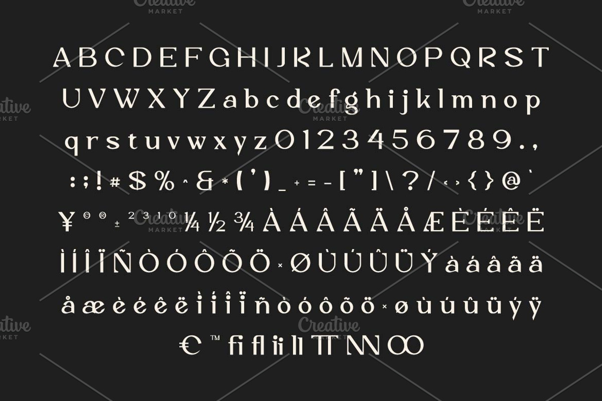 Vaggoe Elegant Serif Font, a Serif Font by Artiveko (Photo 10 of 10)