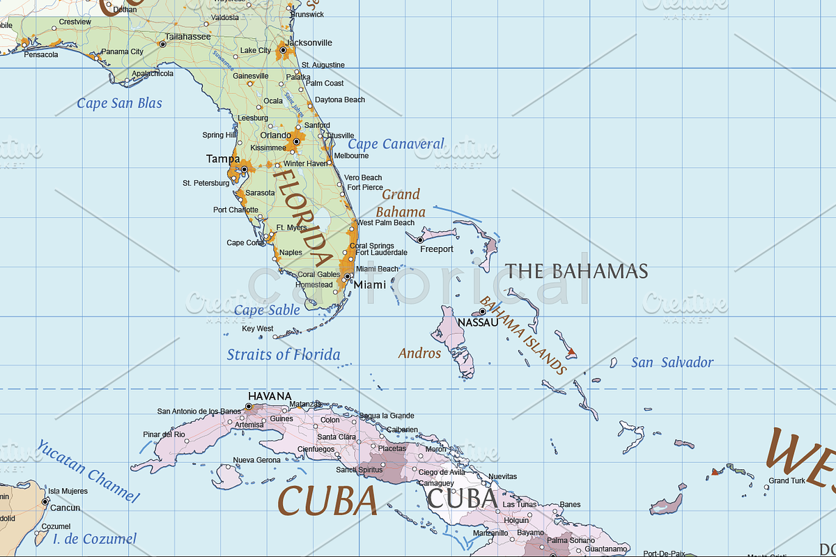Political World Vector Map, an Illustration by Cartorical (Photo 4 of 9)