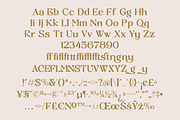 South Blanke Minimalist Sans Serif, a Serif Font by AmorfaType (Thumbnail 10 of 10)