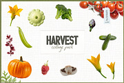 Harvest Collage Pack, an Object Graphic by lerinartstudio (Thumbnail 1 of 7)