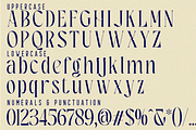 Heavenly Celestial Font, a Serif Font by 177Studio (Thumbnail 8 of 8)