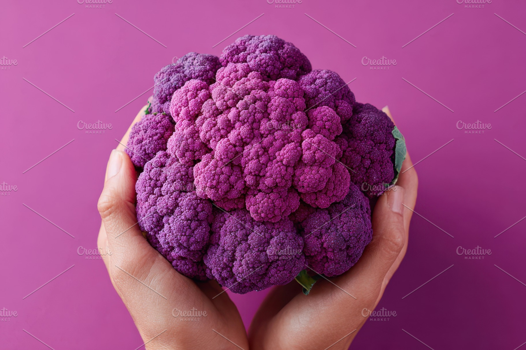 Hands holding purple cauliflower, a Food & Drink Photo by AlyaAnd