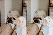 10 BRIGHT & WHITE LIGHTROOM PRESETS, an Action Add-On by Emma Kate Creative (Thumbnail 6 of 10)