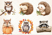 Autumn Forest Animal Clipart, an Illustration by Rose Art (Thumbnail 3 of 4)