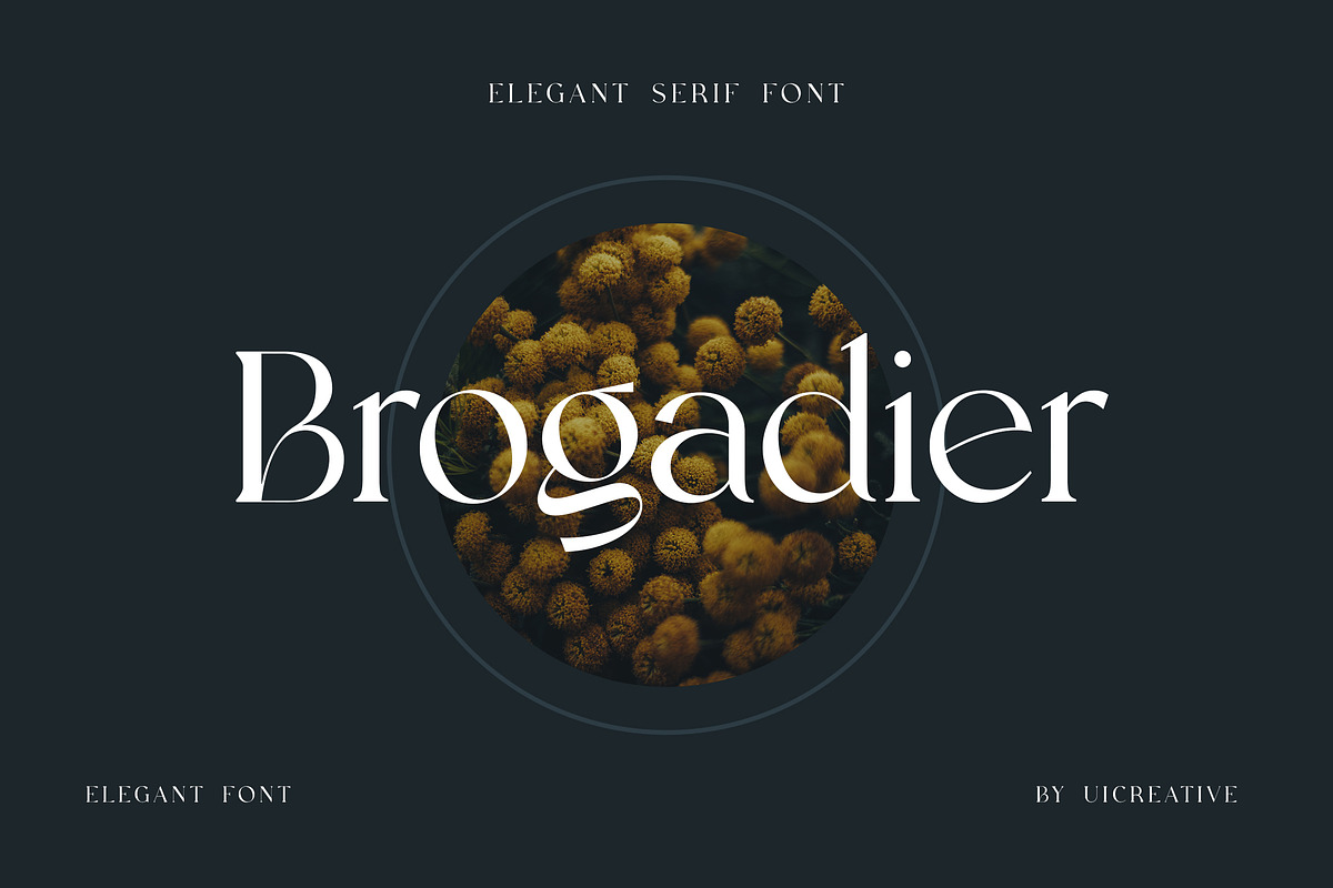 Brogadier Elegant Serif Font, a Serif Font by UICreative (Photo 1 of 13)