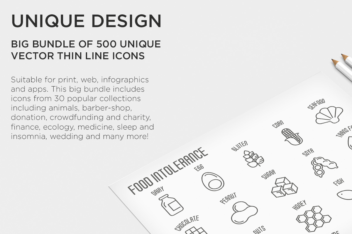 Big Bundle | 500 Thin Line Icons, an Outline Icon by Alex Blogoodf (Photo 3 of 7)
