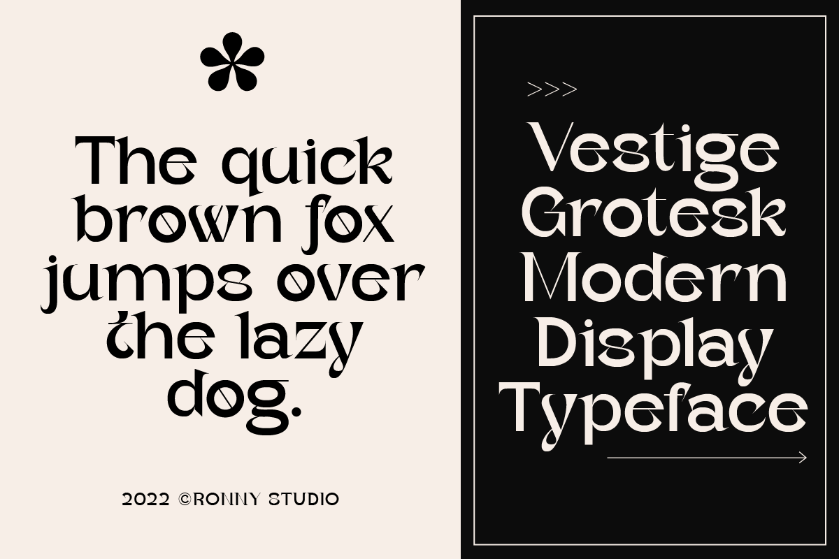 Vestige Grotesk Modern Typeface, a Serif Font by Ronny Studio (Photo 6 of 13)