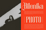 Riledaz || Condensed Serif Font, a Serif Font by Ermedia Studio (Thumbnail 2 of 10)