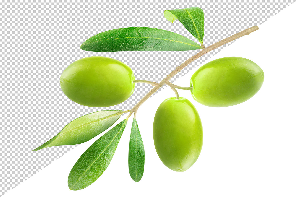 Green olives on a branch preview 3