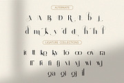 Baginda - Modern Ligature Typeface, a Serif Font by BOOSH Studio (Thumbnail 12 of 14)