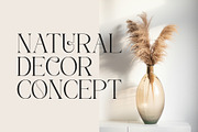 Galem | Elegant Serif, a Serif Font by Typoraith Co (Thumbnail 4 of 10)