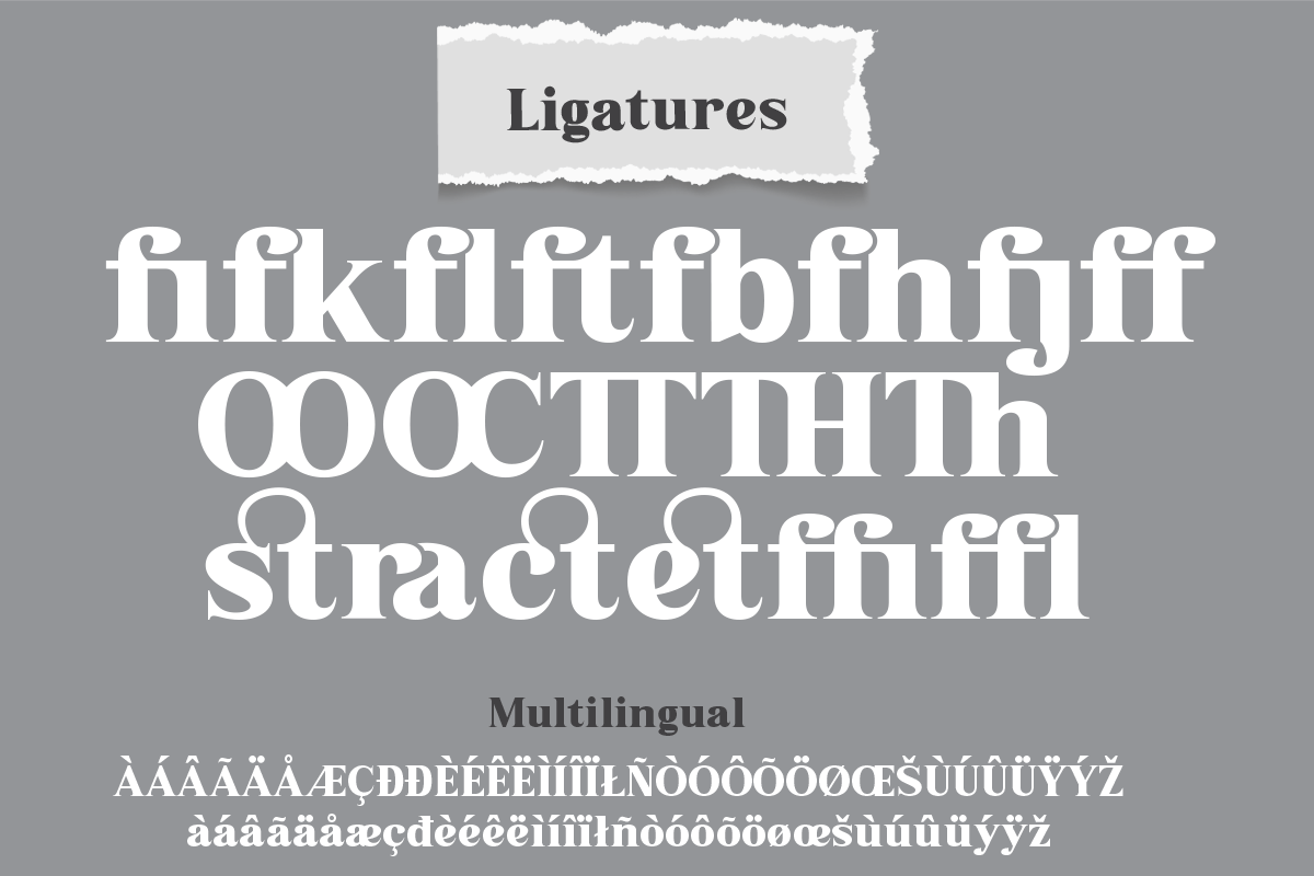 Grabag, a Serif Font by Differentialtype (Photo 9 of 10)