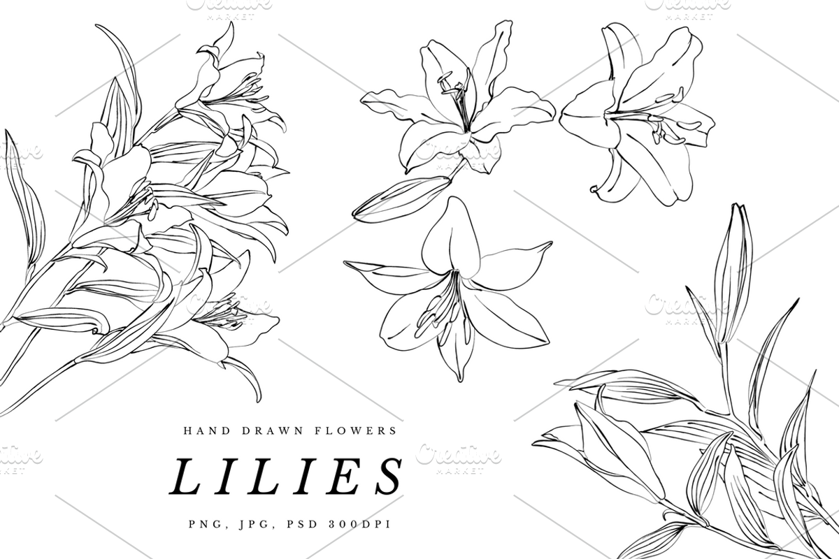 Lilies and Lotus Florals, an Object Graphic by VictoriaKStudio (Photo 1 of 10)
