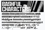 Bashful - Sans Condensed Font, a Sans Serif Font by tebaltipislab (Thumbnail 8 of 12)
