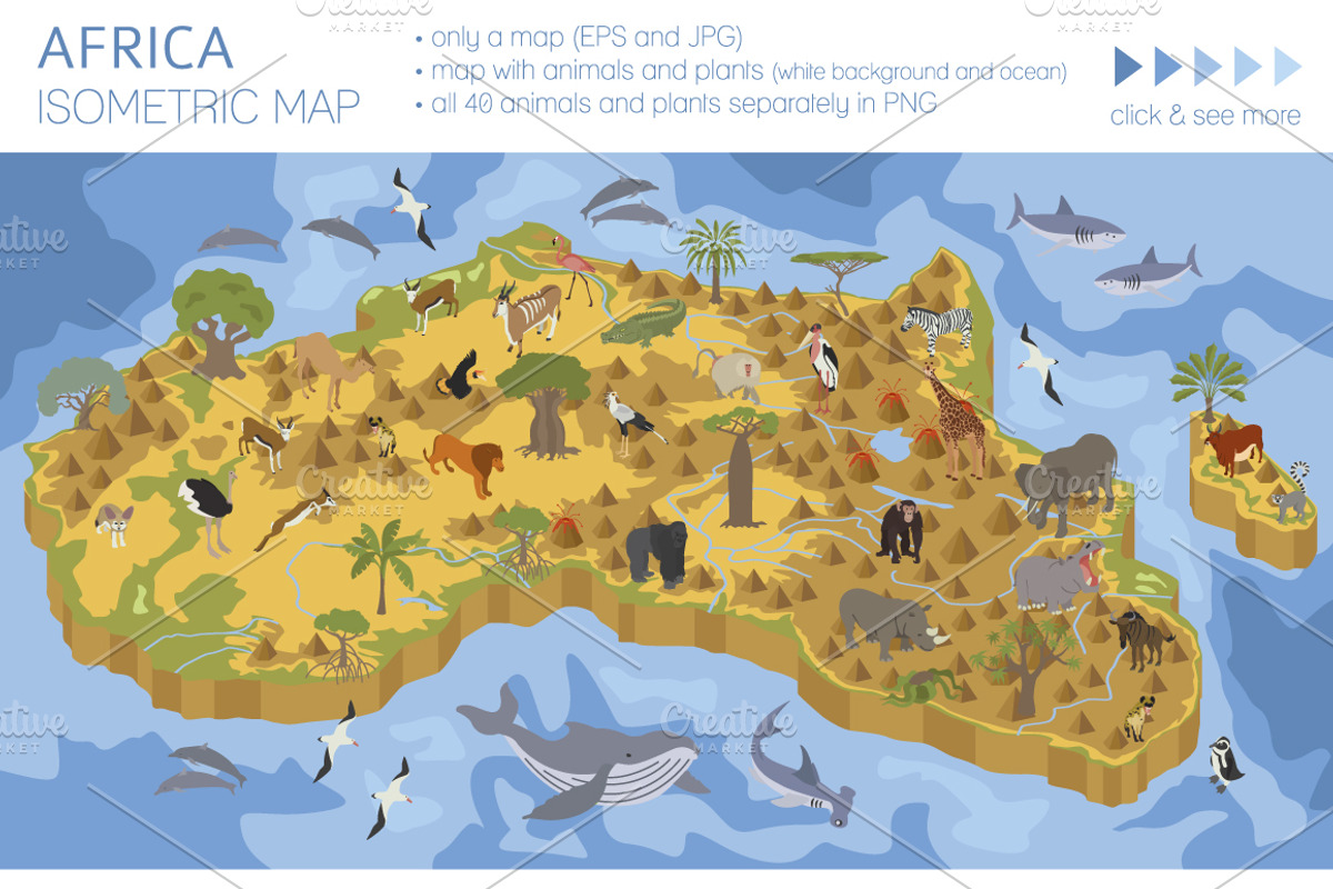 Africa isometric flora & fauna map, an Animal Illustration by pet design shop (Photo 1 of 5)