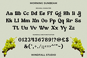 Morning Sunbeam - Retro Bold Font, a Sans Serif Font by Windfall Co (Thumbnail 9 of 10)