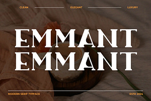 Emmant Stylish Serif Font, a Serif Font by Artiveko