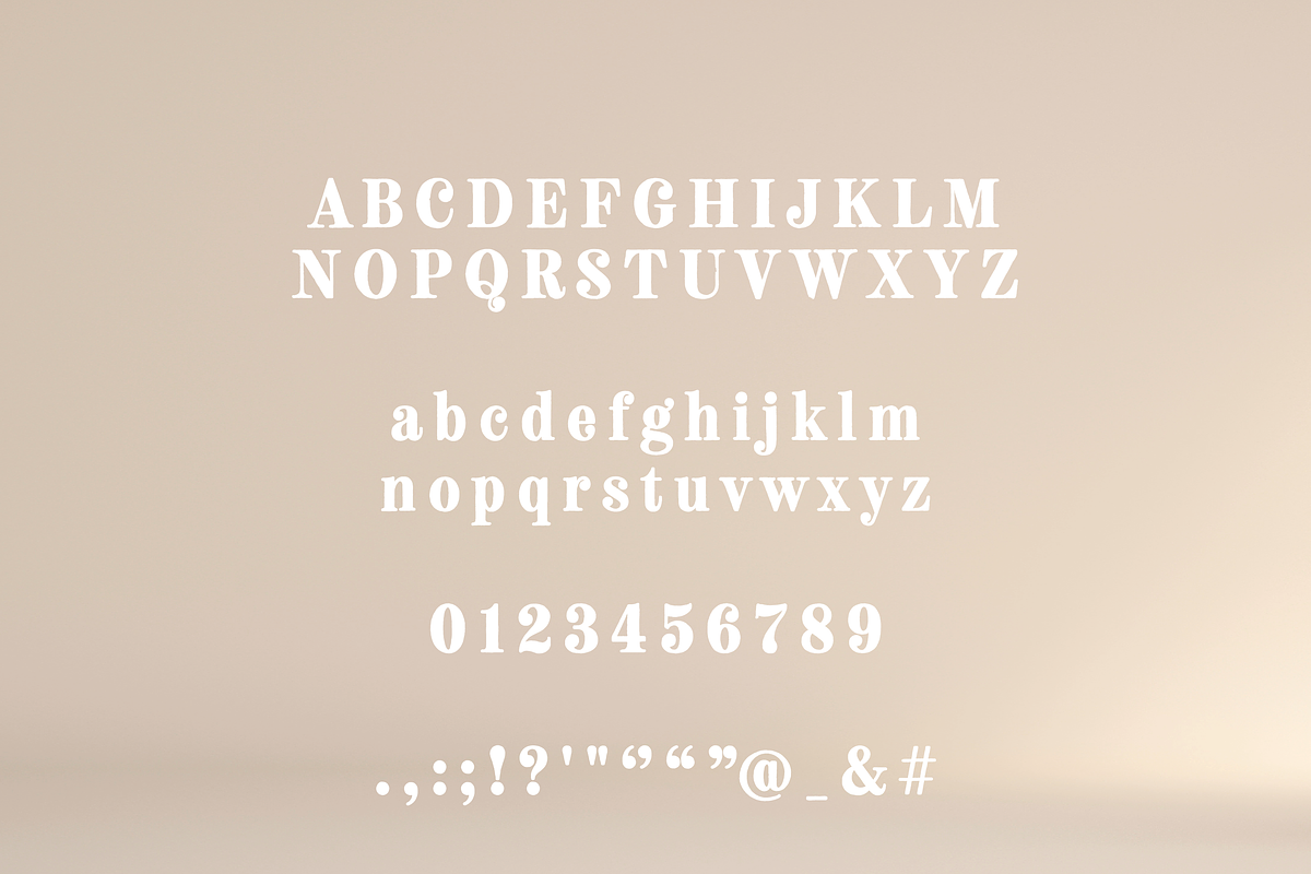 Fenir Elegant Serif Font, a Serif Font by Creative Foundry (Photo 9 of 10)