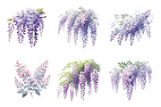 Wisteria Floral Garden Clipart PNG, an Illustration by SinaCreation (Thumbnail 3 of 7)