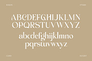 Achroma Editorial, a Serif Font by Megatype (Thumbnail 5 of 9)