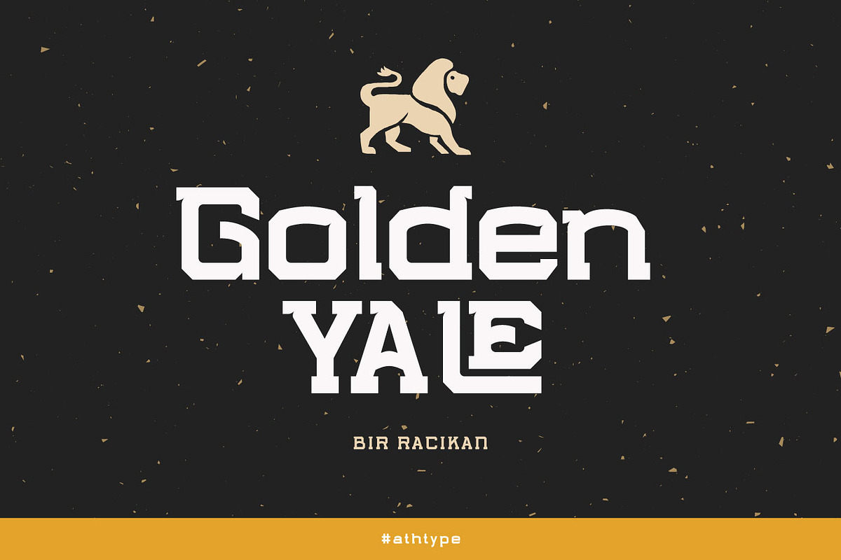 Wahong Sports Design Special Font, a Sans Serif Font by AuthenType (Photo 9 of 12)