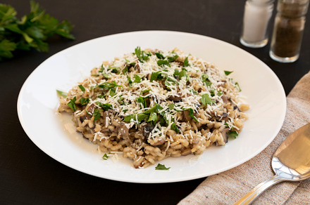 Homemade mushroom risotto with parsl, a Food & Drink Photo by LiudmylaChuhunova