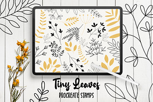 Leaves Procreate Stamp Brushes
