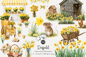 100 watercolour daffodil clip art