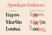 Lafonsa - Stylistic Serif Font, a Sans Serif Font by PutraCetol Studio (Thumbnail 7 of 13)