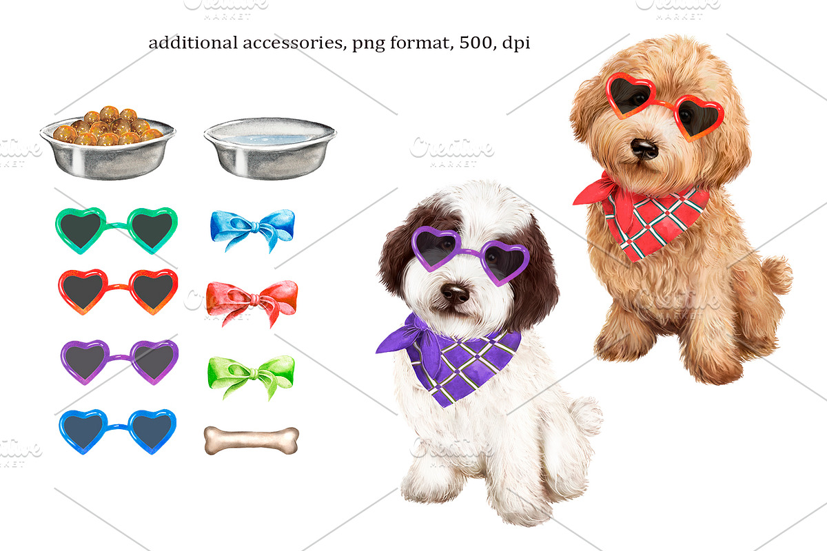 Clipart with dogs, labradoodles., an Animal Illustration by SavinV (Photo 4 of 6)