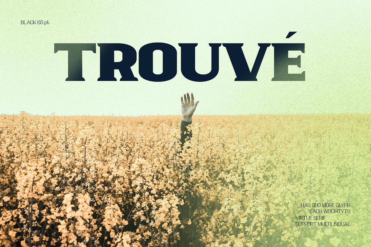 Virtue Serif Family, a Serif Font by Jehoo Creative (Photo 10 of 10)
