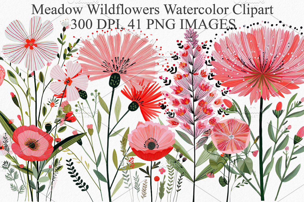 Watercolor Meadow Wildflowers, an Illustration by Canvas Craft (Photo 1 of 6)