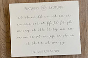 Autumn June Handwritten Script Font, a Font by Evoke Type Studio (Thumbnail 3 of 12)