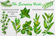 Watercolor everyday green herbs set, a Food Illustration by Fresh art by Larysa (Thumbnail 1 of 7)