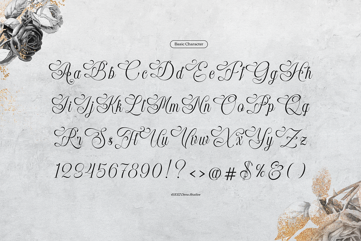 Raufendry Beauty Calligraphy Script, a Script Font by Denustudios (Photo 10 of 12)