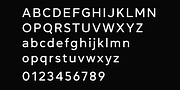 Daikon, a Sans Serif Font by Pepper Type (Thumbnail 4 of 11)