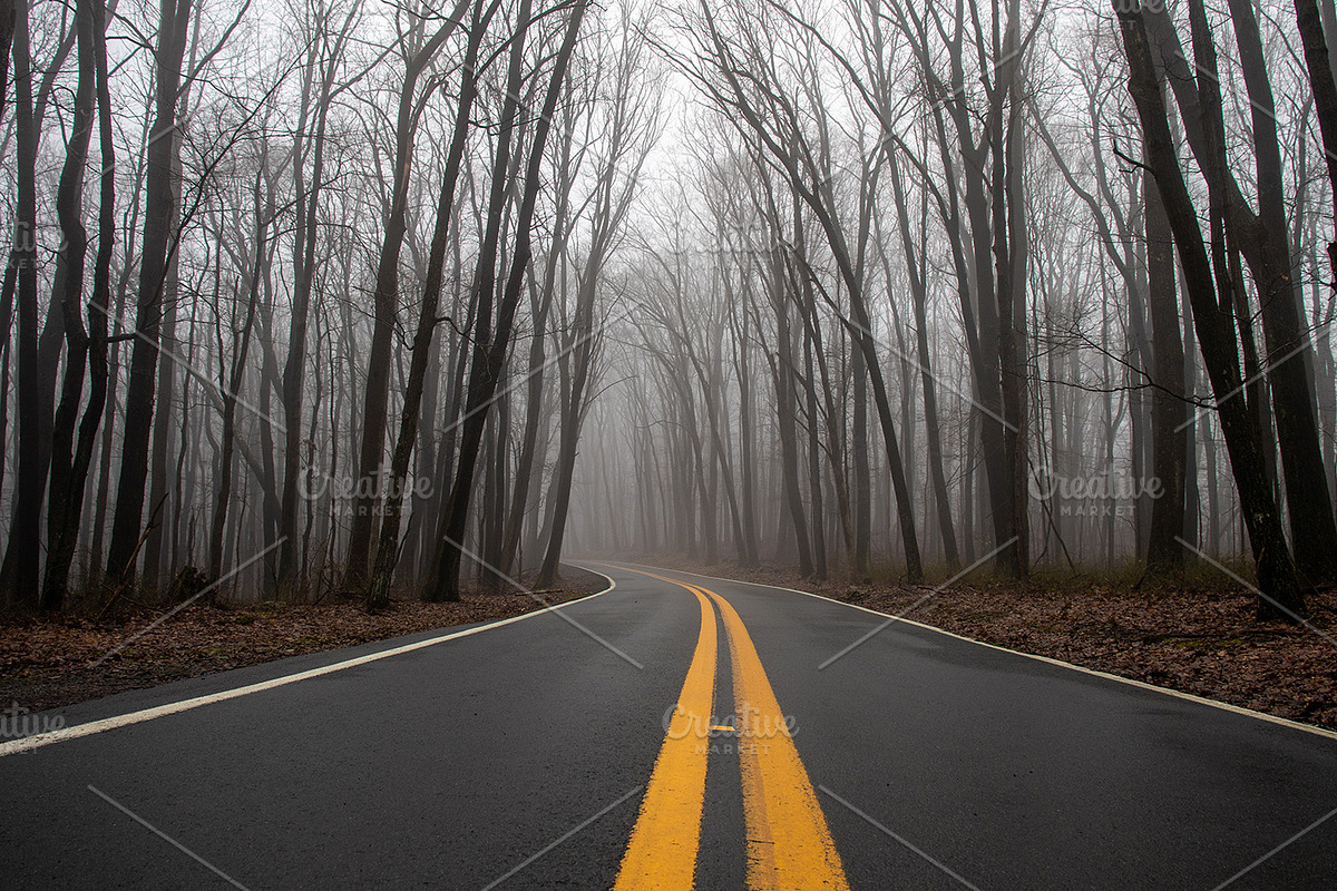 Foggy Photo Bundle, a Nature Photo by Full Circle Design Studio (Photo 2 of 8)