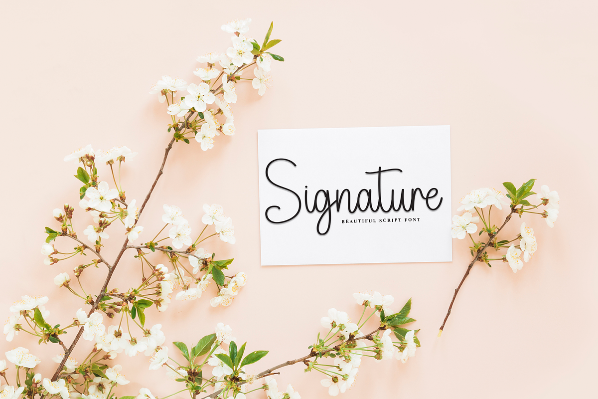 Halloween | Script Font, a Handwritten Font by Scratchones (Photo 4 of 8)