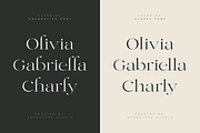 Charming - Classy & Decorative Font, a Serif Font by Sensatype (Thumbnail 2 of 21)