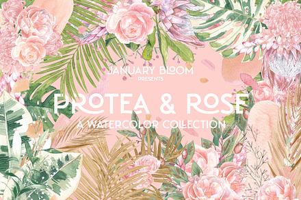 Tropical Romance modern floral rose