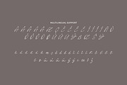 Pellegrie Signature - Script, a Script Font by Krakenbox Studio (Thumbnail 11 of 12)