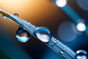 drops of dew AI generated, a Photo by WorldOfPhotos
