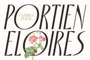 Capires - Art Deco Font, a Font by Craft Supply Co. (Thumbnail 5 of 8)