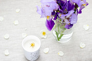 Purple Iris Styled Stock Collection, a Photo by Chalking Up Stock (Thumbnail 8 of 19)