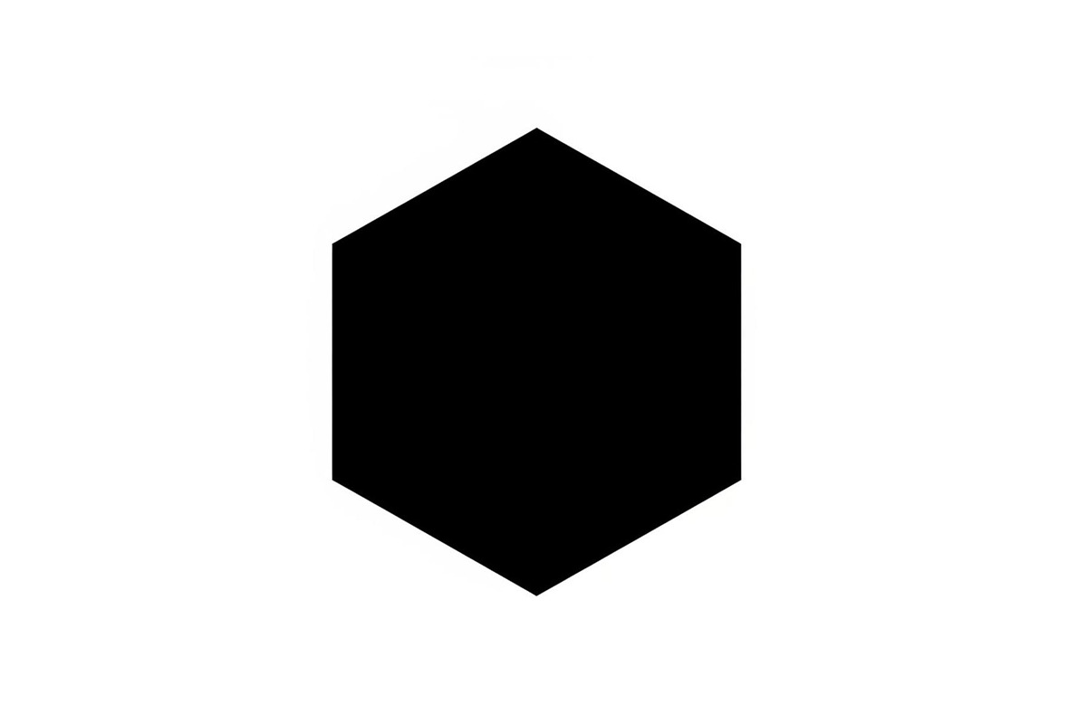 Minimal Hexagon Geometric Logo, an Icon by hafijul (Photo 5 of 10)